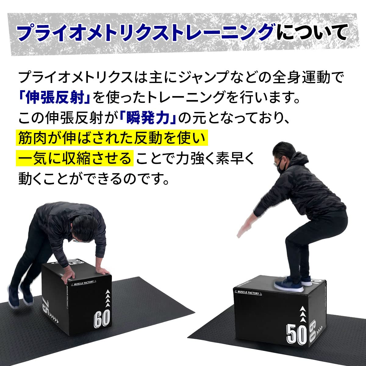 Amazon | MUSCLE FACTORY プライオボックス ソフト 50×60×75cm